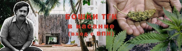 гашик Алзамай